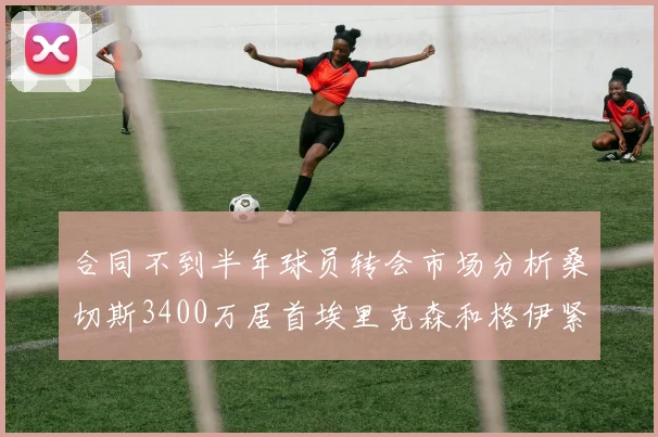 合同不到半年球员转会市场分析桑切斯3400万居首埃里克森和格伊紧随其后